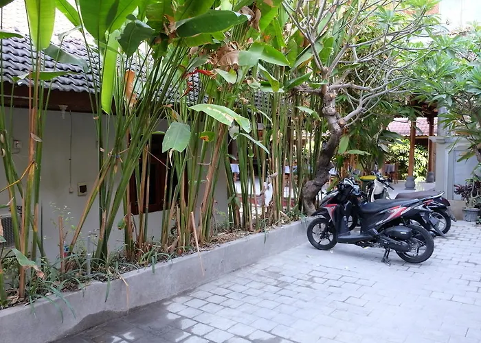 Palm Garden *