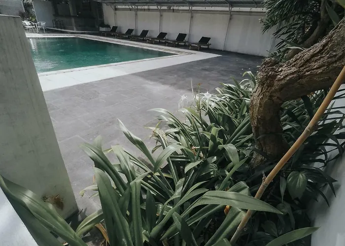 Guest house Palm Garden *