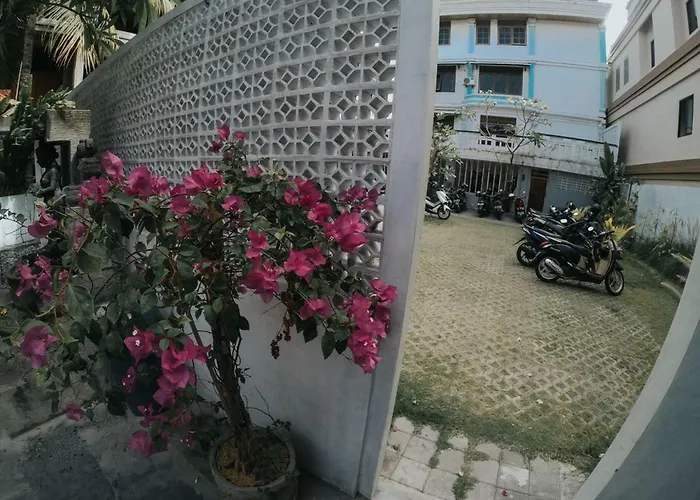 Palm Garden *